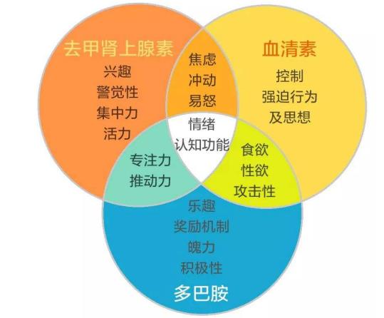 抑郁癥能不能被徹底治愈，不再復發(fā)？